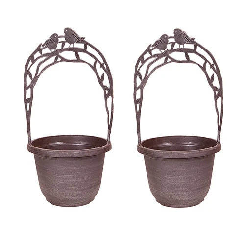 Narcissus 'T?te-?-T?te' Collection With Planters And Compost - Image 4