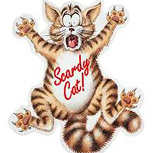 Coleus Canina 'Scardy Cat Plant' - Image 4