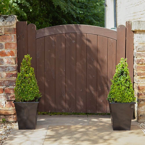 Pair Of Buxus Box Pyramids - Image 3