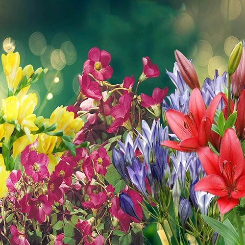 Summer Flowering Balcony Plant-O-Mat - Image 2