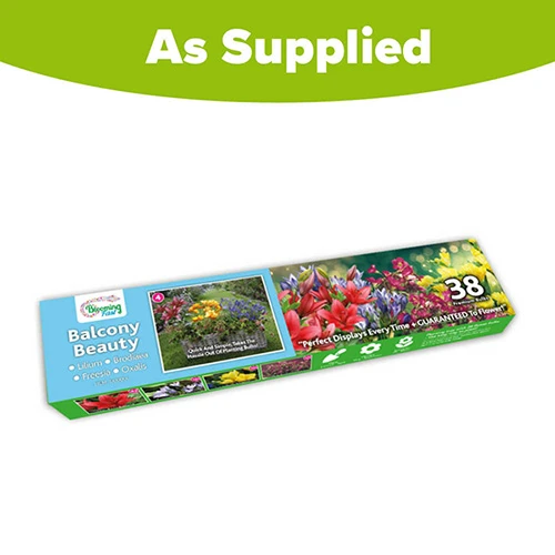 Summer Flowering Balcony Plant-O-Mat - Image 9