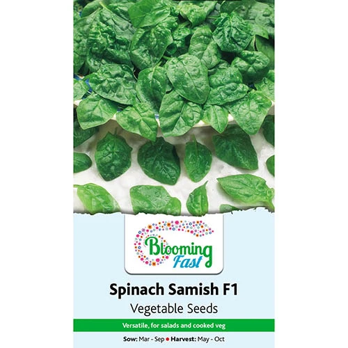 Premium Seed Collection - Image 4