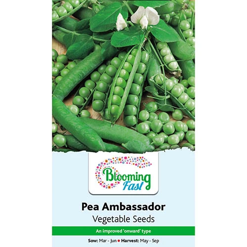 Premium Seed Collection - Image 5