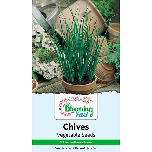 Premium Seed Collection - Image 7