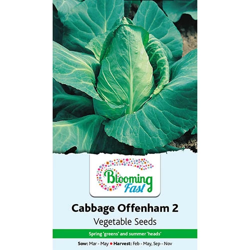 Premium Seed Collection - Image 8